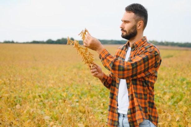 Agenor Vicente Pelissa