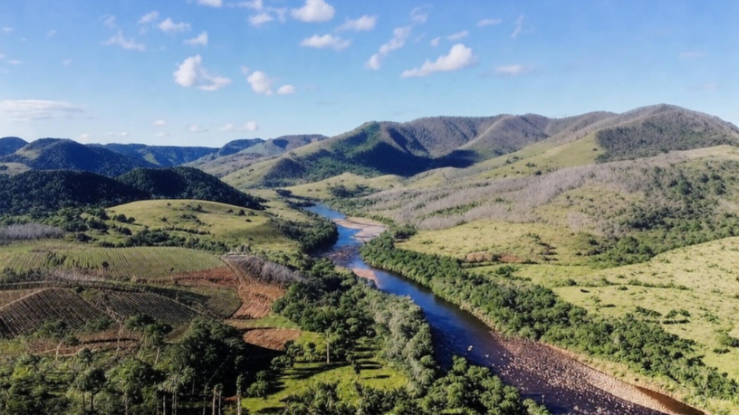 Para Aldo Vendramin, o mercado de carbono brasileiro traz regras que valorizam quem investe em sustentabilidade.