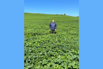 O mercado de carbono brasileiro redefine incentivos para 2026, abrindo novas oportunidades ao produtor, afirma Aldo Vendramin.