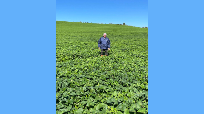 O mercado de carbono brasileiro redefine incentivos para 2026, abrindo novas oportunidades ao produtor, afirma Aldo Vendramin.