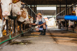 João Eustáquio De Almeida Junior destaca como a sanidade animal é decisiva para prevenir perdas e garantir eficiência na pecuária.