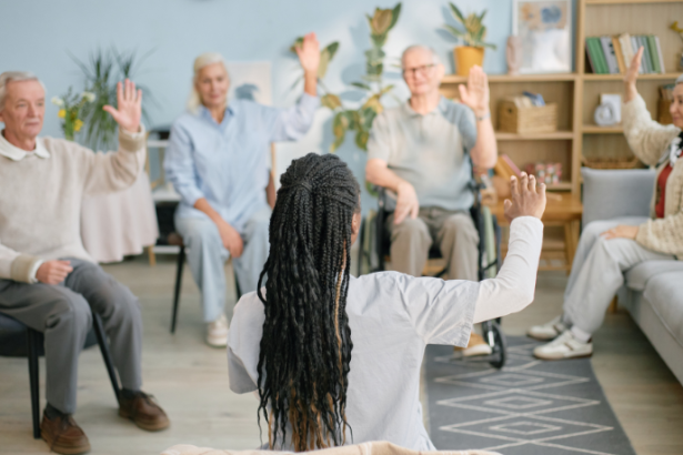 Sindnapi - Sindicato Nacional dos Aposentados, Pensionistas e Idosos