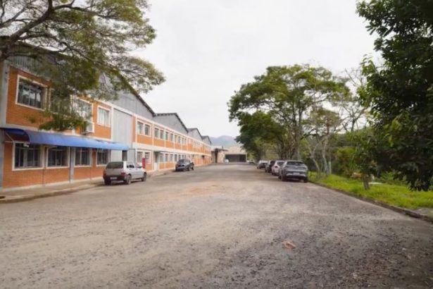 Família Shih